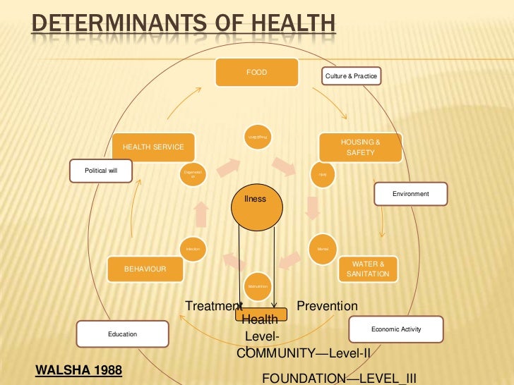 dimensions and determinants of health social factors affecting health and illness